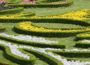 Landscape Design Services: Professional vs. DIY