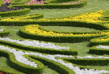 Landscape Design Services: Professional vs. DIY