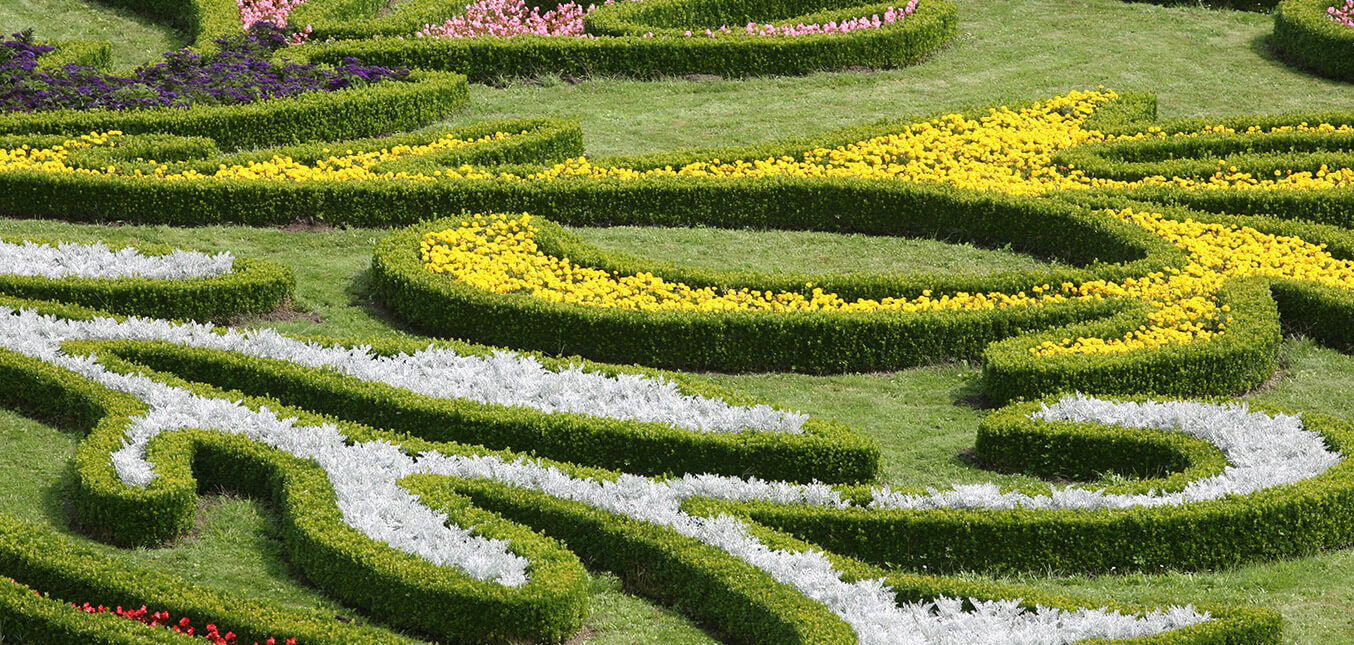 Landscape Design Services: Professional vs. DIY
