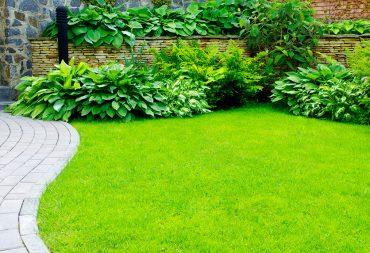 Lawn Care