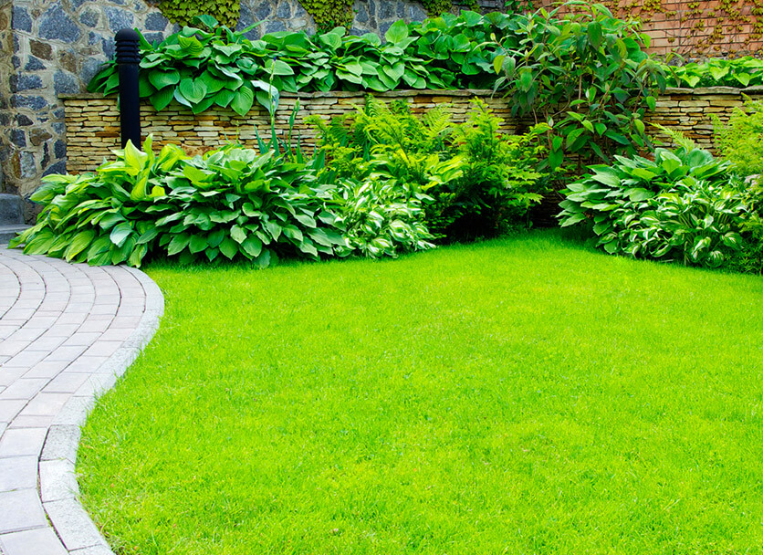 Lawn Care