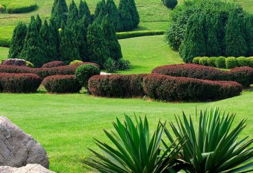 Hardscapes