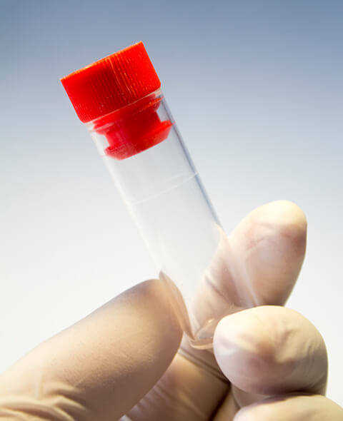 Medical Plastic