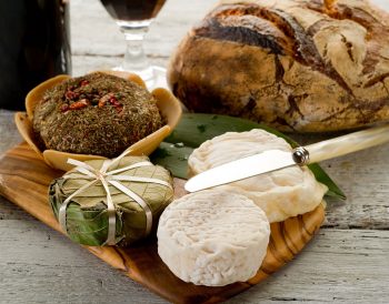 Czech Cuisine: Svickova
