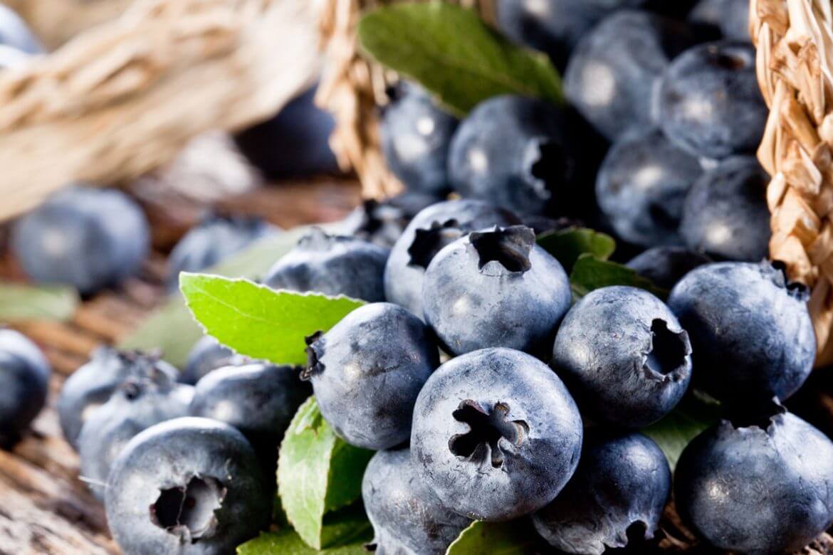Top 101 Dishes in the US