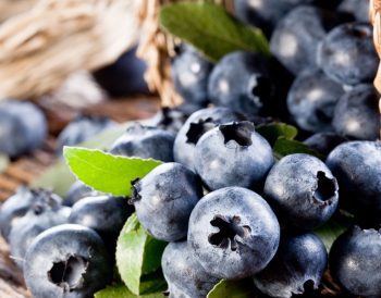 Top 101 Dishes in the US
