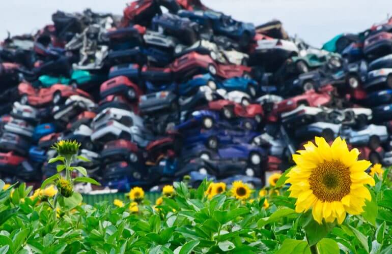 How Many Waste Do Americans Generate?