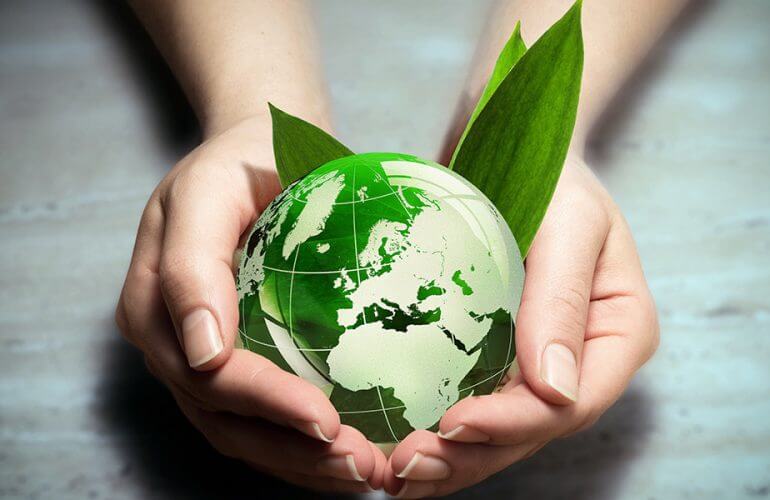 How Endangered the Trees are by Our Consumerism?