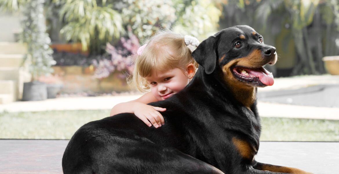 8 Tips for Taking the Perfect Photo of Your Pet