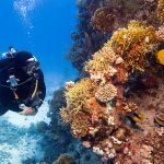 Recovering a Sunken Submarine on Hawaii