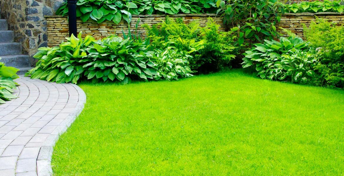 Garden Landscape