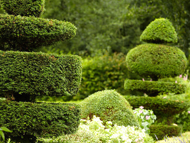 Garden Design