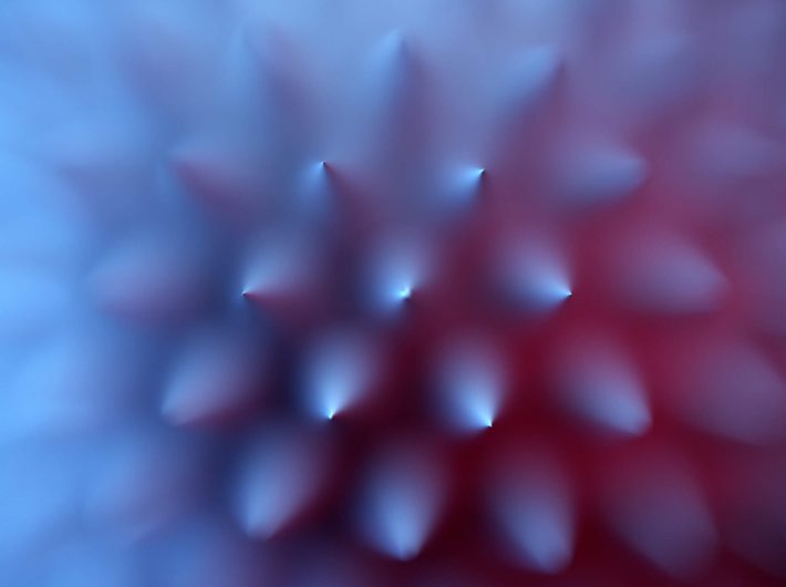 shutterstock_496332019