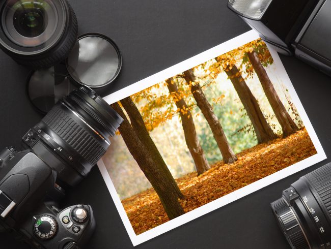 Photographers