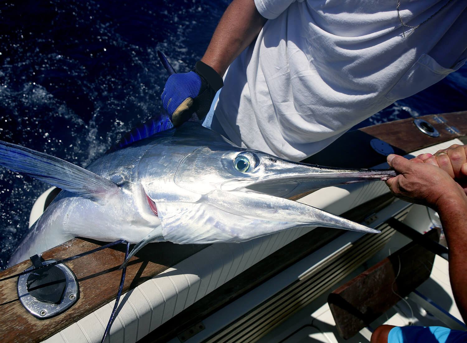 Fishing Tours