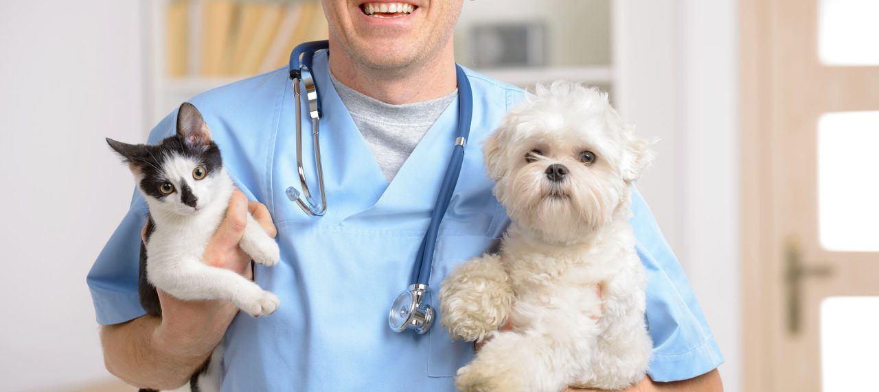 New Advancements in the Veterinary Industry