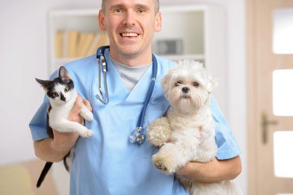 New Advancements in the Veterinary Industry