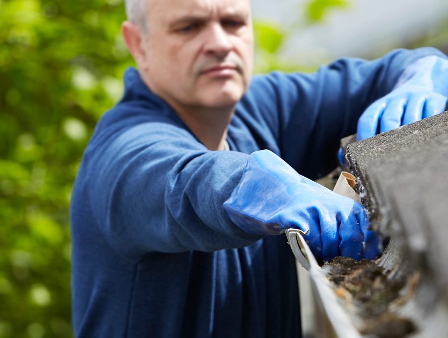 6 Green-Roof Myths, Busted