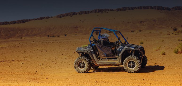 Adrenaline Addicts: who are those crazy guys?