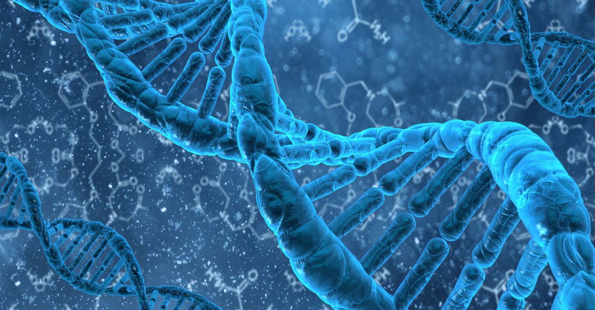 A New View on Cancer