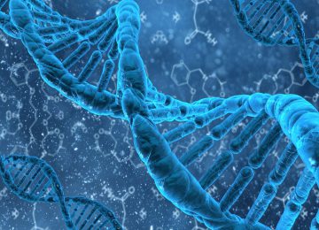 A New View on Cancer