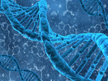 A New View on Cancer