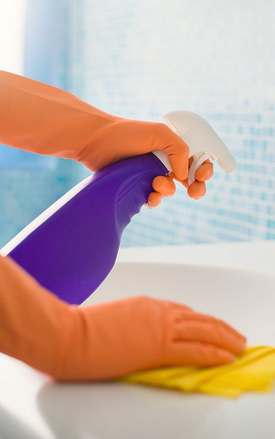 Fighting an Allergy With a Spring Cleaning