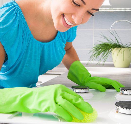 Windows cleaning