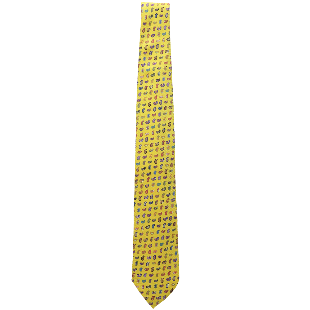 Etro Allover Mini Paisley Regular Width Silk Tie 2
