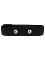Polar H7 Bluetooth Smart Heart Rate Sensor 2 Polar H7 Bluetooth Smart Heart Rate Sensor 2