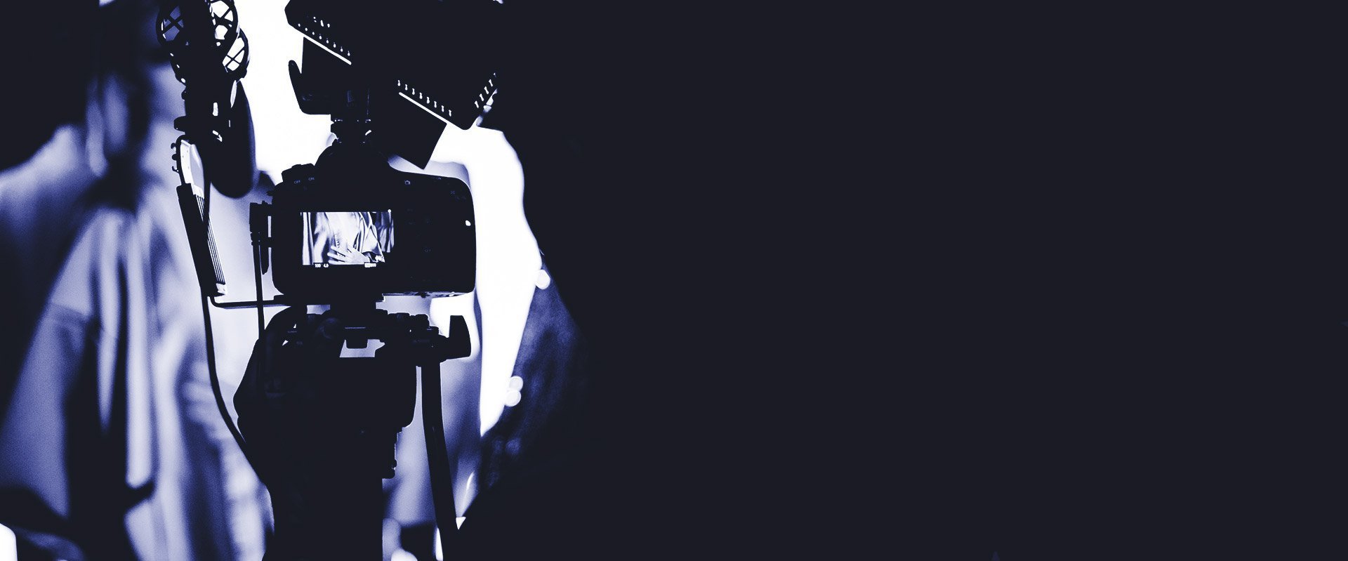 A Perfect Set of WordPress Themes for Any Business!