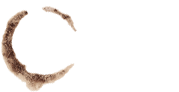 AromaCafe