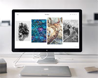 ICO Advisor design