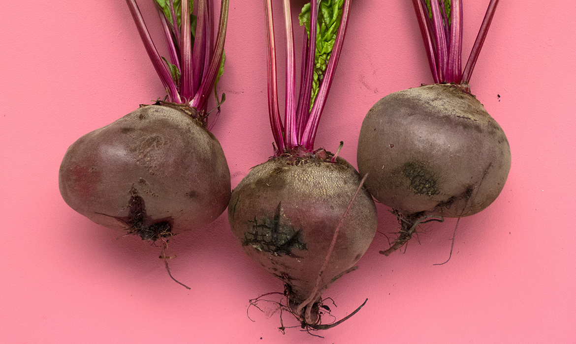 7 Steps to Living an Organic Lifestyle