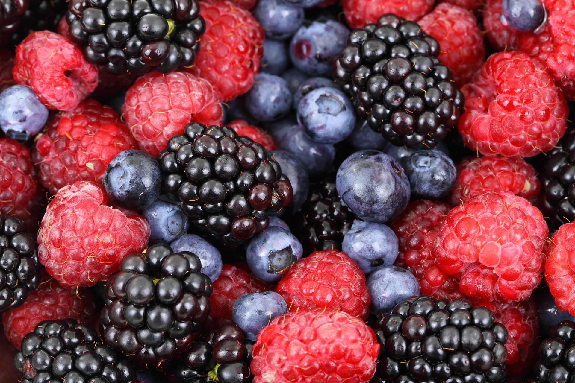 What is organic farming?